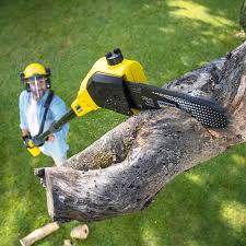  Yaphank, NY Tree Removal Pros