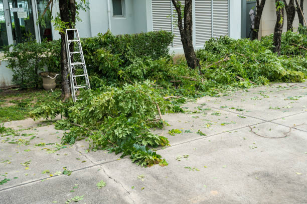 Best Emergency Tree Removal  in Yaphank, NY
